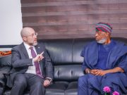 Russian firm, Rosatom commences exploration of lithium in Edo, gets nod to build processing plant