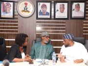 No more mining licence without plans for local value addition- Dele Alake