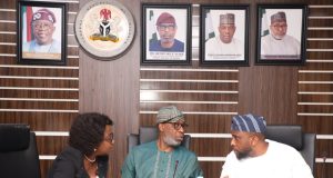 No more mining licence without plans for local value addition- Dele Alake