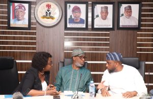 No more mining licence without plans for local value addition- Dele Alake