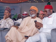 Reforms spur investors confidence in mining sector- Alake