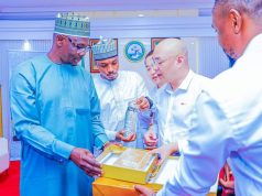 Nizhong Mining Company to invest $50m in tin mining and mineral processing in Nasarawa State