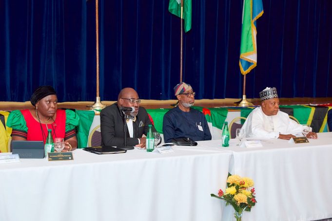 Extracting raw minerals without processing locally deepens Africa’s underdevelopment- President Tinubu