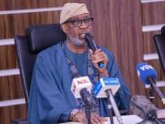 Alake calls for collaboration between solid minerals stakeholders,National Parks to curb illegal mining, mine collapses