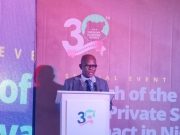 Miners Association of Nigeria endorses NESG plan to domesticate African Mining Vision’s private sector compact – Ayanleke