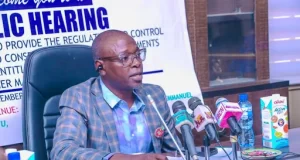 Nasarawa assembly holds public hearing on new Mining Oversight Bill, seeks stronger control of illegal mining