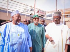 Nasarawa is epicenter of mining in Nigeria-Alake