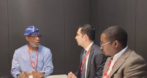 Mining Indaba: Alake secures UN agency study facility for critical minerals