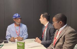 Mining Indaba: Alake secures UN agency study facility for critical minerals