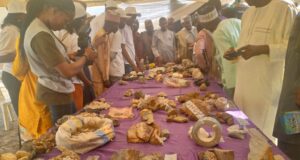 2-day African solid minerals summit, exhibition opens in Adamawa
