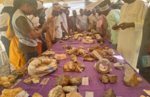 2-day African solid minerals summit, exhibition opens in Adamawa