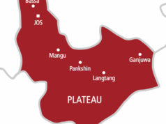 Married women abandon husbands for illegal miners — Commissioner