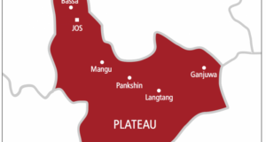 Married women abandon husbands for illegal miners — Commissioner