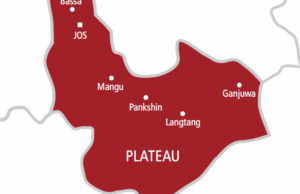 Married women abandon husbands for illegal miners — Commissioner