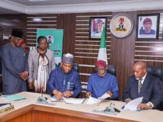 Nigeria, South Africa sign pact on mining development