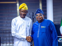 Mining, automotive sectors to drive Nigeria’s industrial revolution – Tegbe