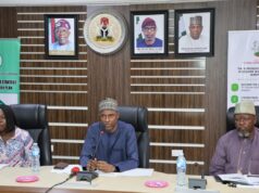 AFNIS 2025 Organising Committee strengthened, welcomes New High-Level Members