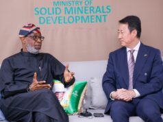 Solid Minerals: China to establish electric vehicle factories in Nigeria