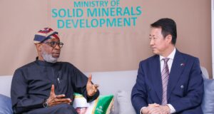 Solid Minerals: China to establish electric vehicle factories in Nigeria