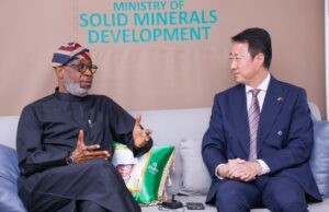 Solid Minerals: China to establish electric vehicle factories in Nigeria