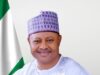 Kaduna Mining MD promises to oversee grouping of 10,000 artisanal miners into production clusters