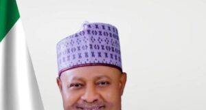 Kaduna Mining MD promises to oversee grouping of 10,000 artisanal miners into production clusters