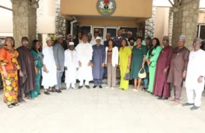 Solid minerals ministry achieves 90% PMS on-boarding – Alake