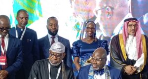 Repositioning Africa’s Solid Minerals Sector: The task ahead for Alake, AMSG
