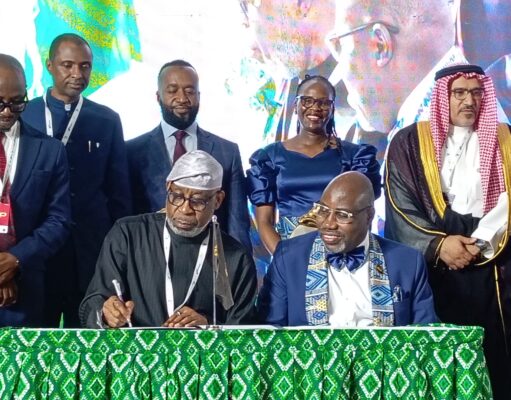 AFNIS 2025: Nigeria signs Africa Minerals Strategy Group (AMSG) charter