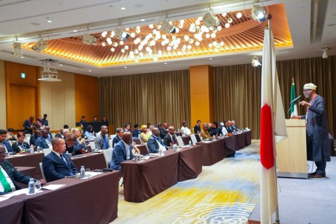 Nigeria has moved away from simply exporting raw solid minerals, says Minister Dele Alake at TICAD, in Japan
