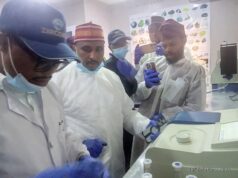 Kano to collaborate with Zirconex on establishment of Standard Mining Laboratory