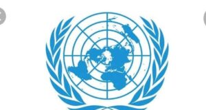 U.N. Report Backs Minerals Trust