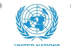U.N. Report Backs Minerals Trust