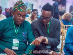 Gemstones Expo: We plan to streamline licensing, regulatory framework, others – Alake