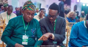 Gemstones Expo: We plan to streamline licensing, regulatory framework, others – Alake