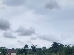Mining firm begins construction of ₦3b 8km rural road in Ebonyi community