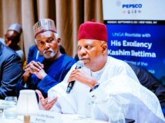 At UNGA, Shettima showcases Nigeria’s $200bn Energy Transition minerals to global investors