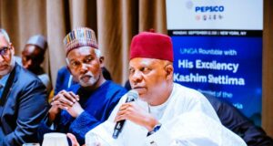 At UNGA, Shettima showcases Nigeria’s $200bn Energy Transition minerals to global investors