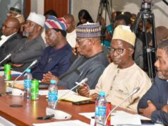 Reps hold public hearing on 12 mining sector related bills