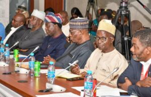 Reps hold public hearing on 12 mining sector related bills