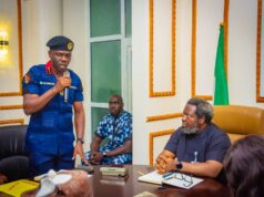 Raw Materials Council to collaborate with Mining Marshals to tackle illegal mining