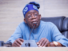 Tinubu urges ECOWAS to criminalise resource theft, illegal mining