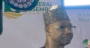 CDA dispute: Nasarawa govt orders one-week closure of mining operations in Kokona LGA