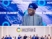 Tinubu invites foreign investors to partner in Nigeria’s lithium and critical minerals sector