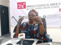 Hold licence holders accountable for mining accidents — NMGS president