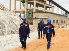 Zimbabwe sparks global Lithium market surge with ban on its export