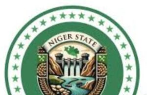 Niger State Govt orders closure of mining site over deadly attack
