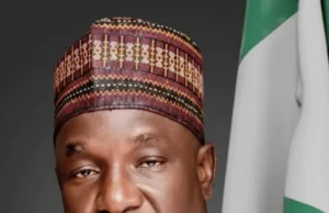 Plateau mine tragedy: Senate Committee calls for mandatory insurance, enhanced security