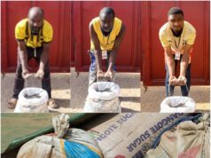 15 Suspects arrested with Radioactive Solid Minerals in Kaduna