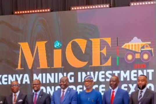 Alake calls for united African front to capture greater value from global mineral economy